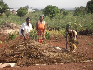 img-terreno-agricolo-abitazione-del-custode-e-pozzo